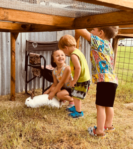 Children visiting on Open Farm Day, petting rabbits
