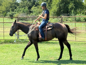 Trainer working with horse in arena
