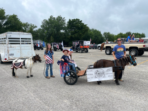 Horse in round pen training