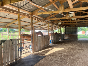 Covered stall runs at Gammon Family Farm