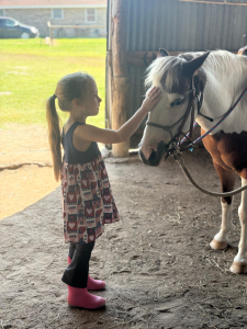 Child learning horsemanship at lesson