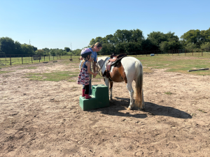 Rider in the arena during a lesson