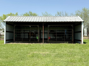 Horse barn stalls with covered runs