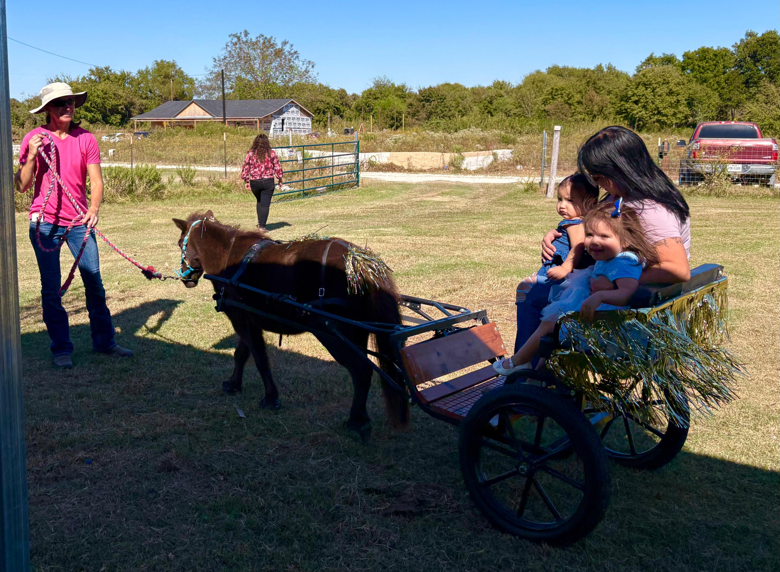 Pony cart at Gammon Family Farm