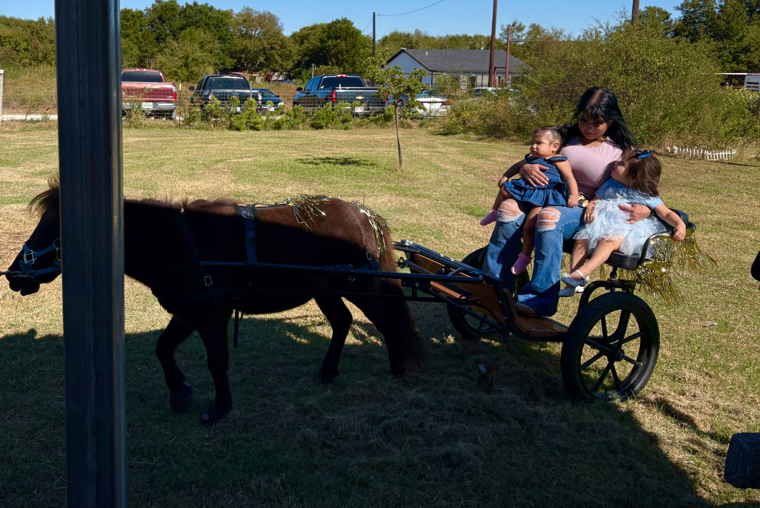 Kids enjoying pony party at Gammon Family Farm