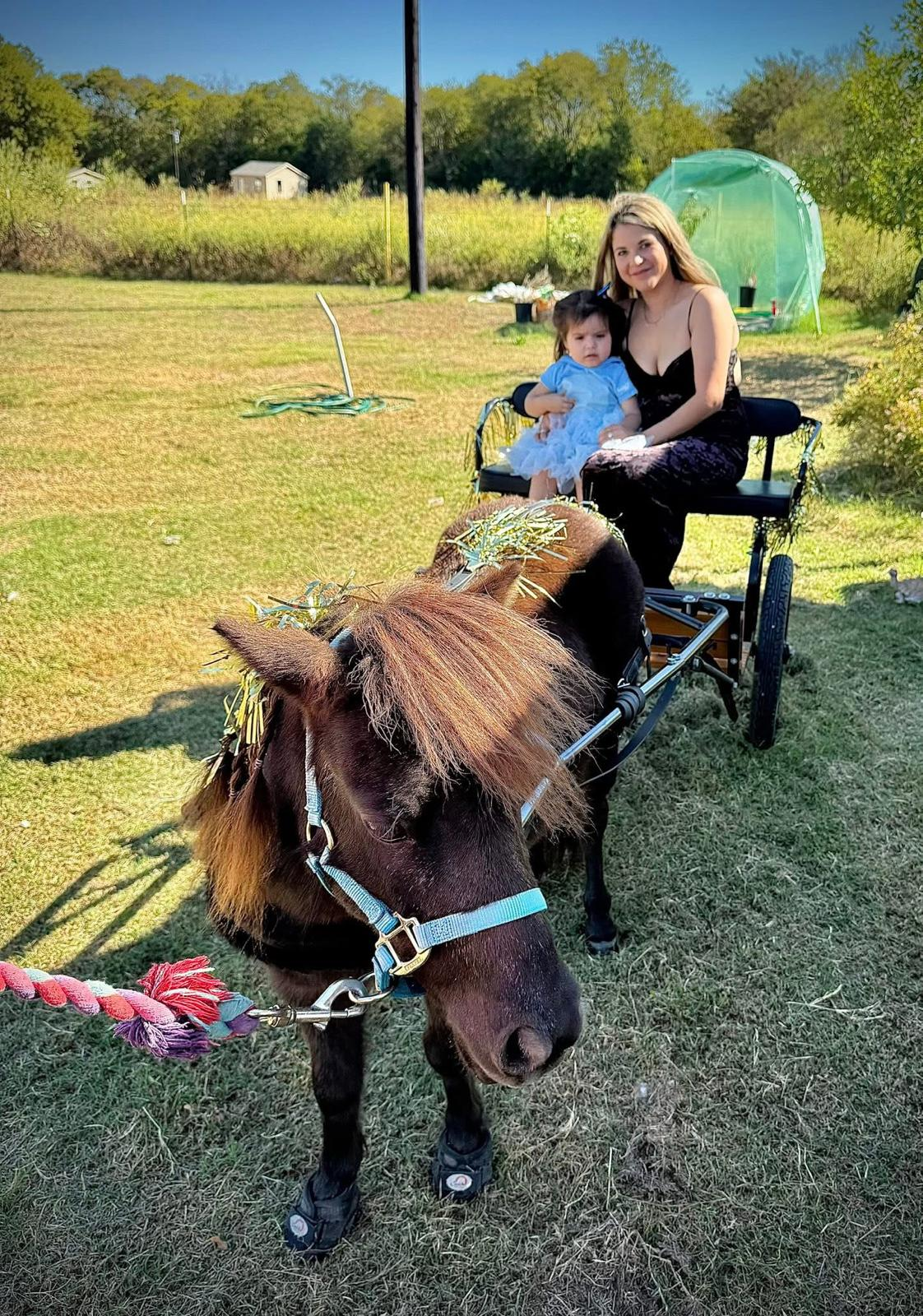 Gammon Family Farm Pony Party