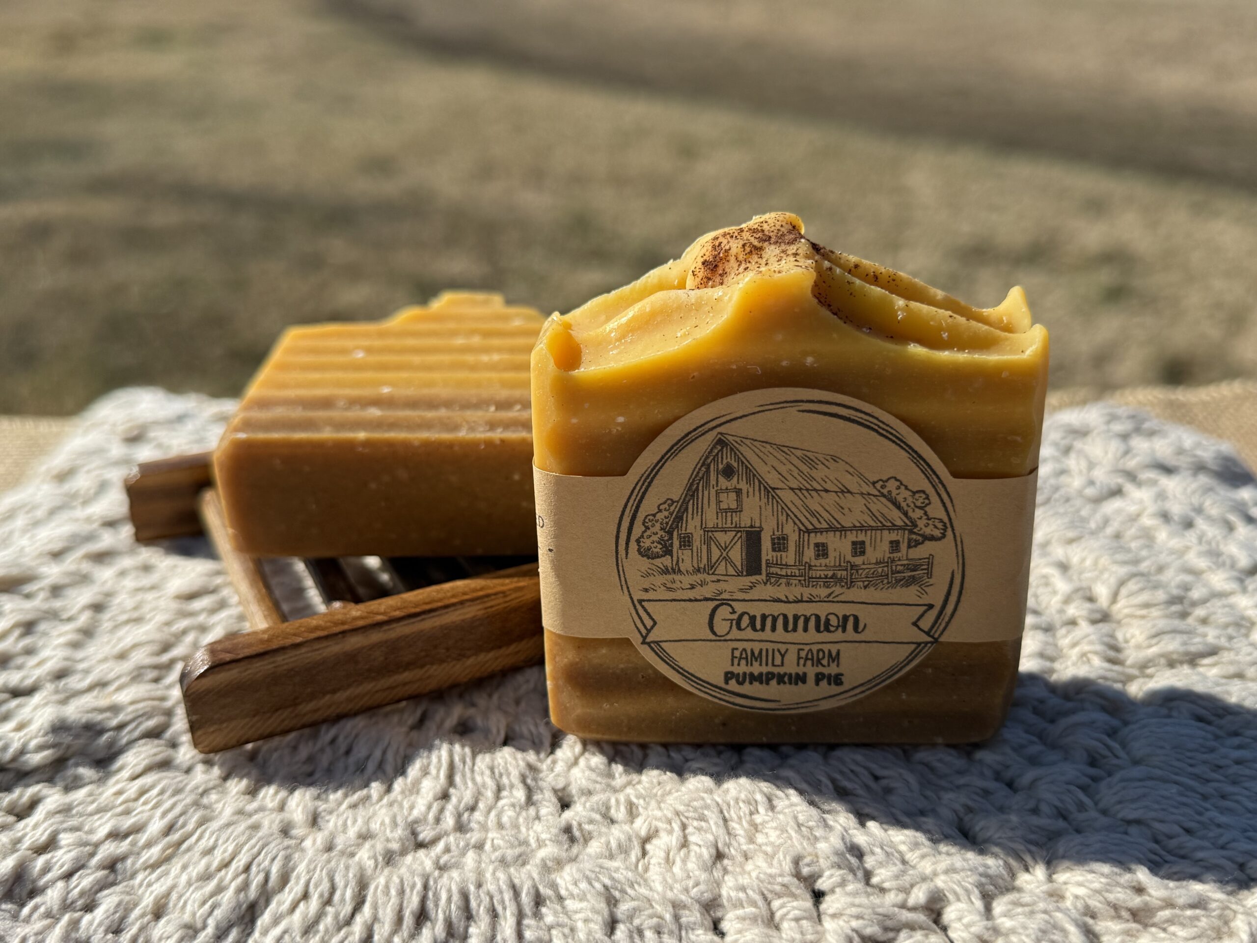 Pumpkin Pie seasonal goat milk soap