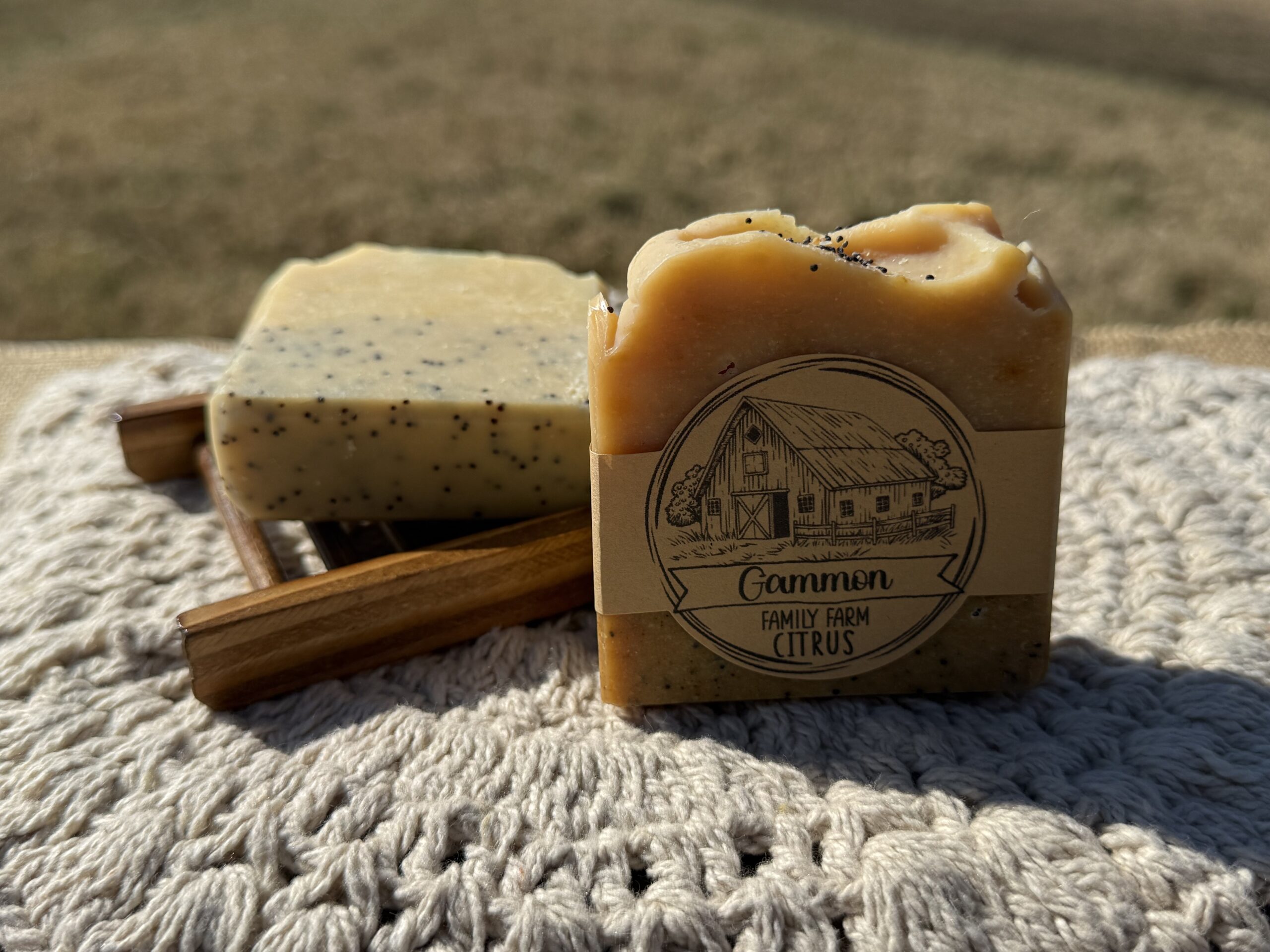 Citrus goat milk soap